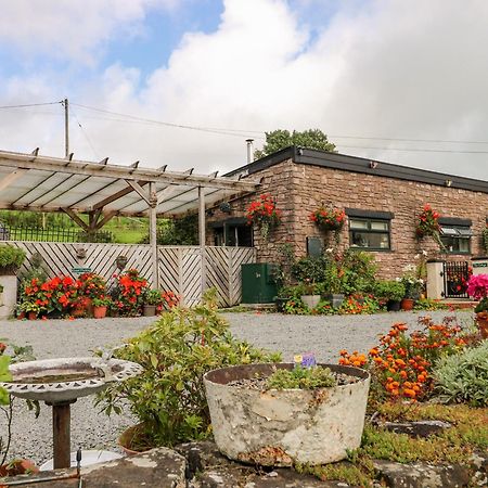 Ffynnonlwyd Cottage Llangynin Bagian luar foto